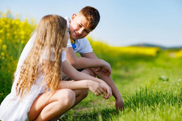 Yerli neşeli genç çocuklar sıcak havanın tadını çıkarıyorlar: büyük güçlü erkek kardeş ve küçük güler yüzlü kız kardeş çömelmiş vaziyette oturuyor ve mavi gökyüzünün altında sarı çiçekler ve yeşil çimlerle konuşuyor.