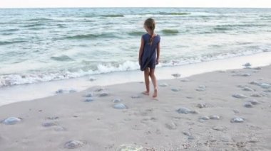 Koyu mavi tunik çerçeveli, açık tenli, güzel ve dikkatli bronzlaşmış bir kız dikkatlice ölü tehlikeli denizanalarını atlatır ve onları kumlu sahillerle dikkatlice inceler. HD yavaş çekim videosu