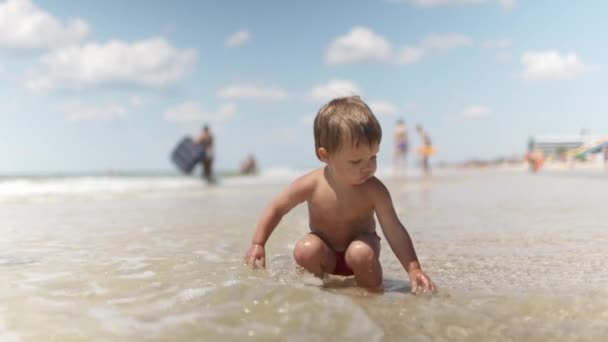 Маленький Забавный Малыш Собирает Раковины Гальку Спокойном Голубом Море Песчаном — стоковое видео