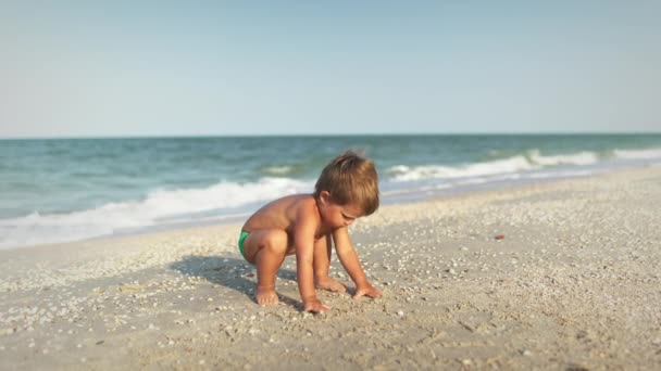 Маленький Забавный Малыш Собирает Раковины Гальку Спокойном Голубом Море Песчаном — стоковое видео