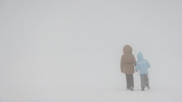 雾蒙蒙的早晨 两个孩子手拉手在雪坡上散步的侧视图 身着外套的姐妹们在雪山上远足 探索着有着复制空间和明亮背景的风景 冬季远足的概念 — 图库视频影像