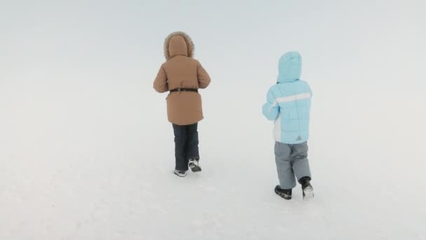 雾蒙蒙的早晨 两个孩子手拉手在雪坡上散步的侧视图 身着外套的姐妹们在雪山上远足 探索着有着复制空间和明亮背景的风景 冬季远足的概念 — 图库视频影像