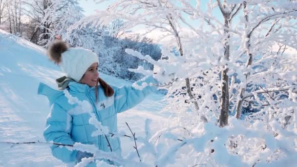 Seitenansicht Des Hübschen Mädchens Fäustlingen Schüttelt Schneebedeckten Zweig Des Baumes — Stockvideo