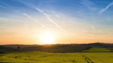 A large spring flowering field with bright yellow small plants in a mountain and meadow valley against the backdrop of a golden evening sunset sky, in warm country of Bulgaria. 4K UHD timelapse video