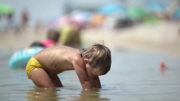 Mały Zabawny Dzieciak Zbiera Muszle Kamyki Spokojnym Błękitnym Morzu Piaszczystym — Wideo stockowe