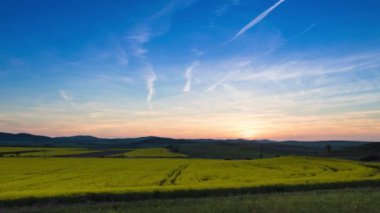 A large spring flowering field with bright yellow small plants in a mountain and meadow valley against the backdrop of a golden evening sunrise sky, in warm country of Bulgaria. 4K UHD timelapse video