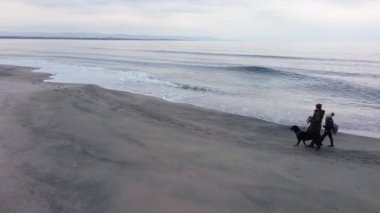 Adult mother and hostess and her little cheerful daughter in warm clothes walk along sandy sea wild beach with faithful funny big dog of Rottweiler breed, in cold cloudy weather. UHD 4K video realtime