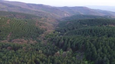 Birds eye view of spring blooming green meadows and wooded hilly slopes of the Balkan Mountains, under the light of a bright cloudy warm day in the country of Bulgaria. UHD 4K video realtime