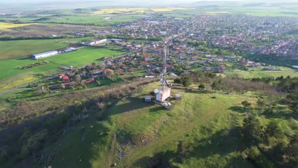 Parlak Geniş Çiçek Tarlaları Dağda Küçük Bir Bitki Çayır Vadisinde — Stok video