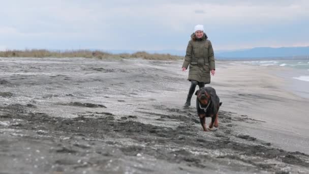Cheerful Funny Big Dog Somersaults Fools Sandy Beach Blue Sea — Vídeo de stock