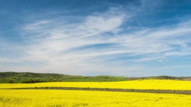 Bright flowering fields with yellow spring plant in Balkan mountain and meadow valley against backdrop of empty old village and cloudy daytime sky, in country of Bulgaria. 4K UHD timelapse video