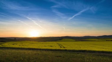 A large spring flowering field with bright yellow small plants in a mountain and meadow valley against the backdrop of a golden evening sunset sky, in warm country of Bulgaria. 4K UHD timelapse video