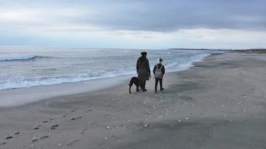 Adult mother and hostess and her little cheerful daughter in warm clothes walk along sandy sea wild beach with faithful funny big dog of Rottweiler breed, in cold cloudy weather. UHD 4K video realtime