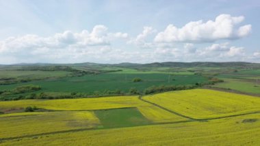 Parlak geniş çiçek tarlaları, dağda küçük bir bitki ve çayır vadisinde küçük boş bir köy ve bulutlu mavi gökyüzü. UHD 4K video gerçek zamanlı