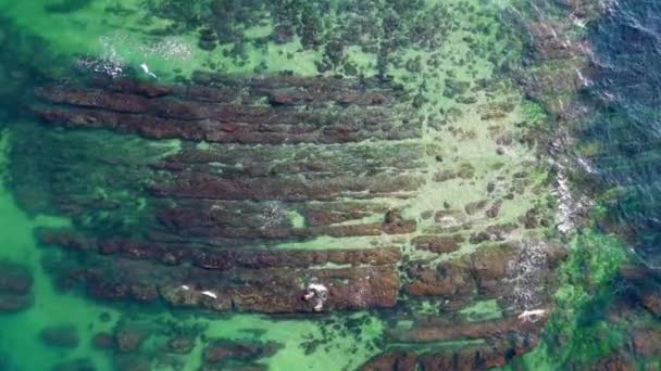 Unusual Rocky Seabed Covered Transparent Turquoise Wavy Water Black Sea — Vídeo de Stock