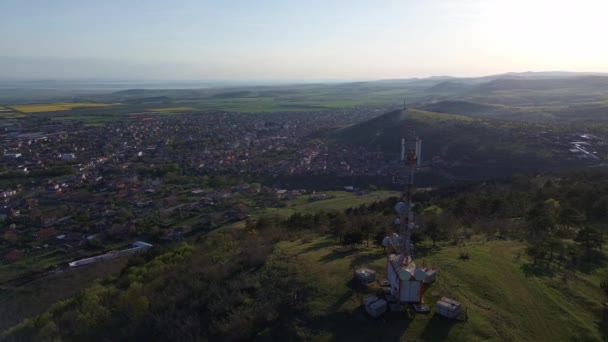 Parlak Geniş Çiçek Tarlaları Dağda Küçük Bir Bitki Çayır Vadisinde — Stok video