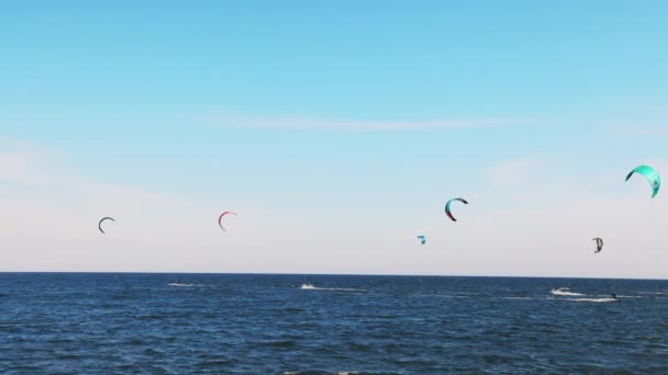 Athletic Active Cheerful People Special Sportswear Kiting Shiny Sea Calm — Stock Video
