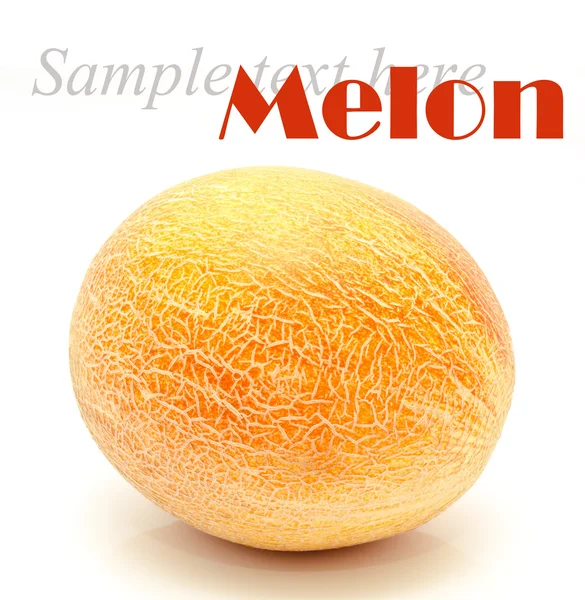 Ripe whole melon isolated — Stock Photo, Image