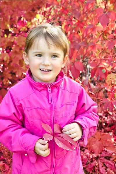 Portrait extérieur mignonne petite fille — Photo