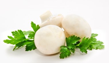 champignon mantar beyaz agaricus witn maydanoz