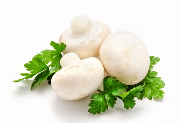 Champignon seta blanca agaricus witn perejil —  Fotos de Stock