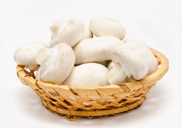 Champignon agaricus blanc dans le panier — Photo