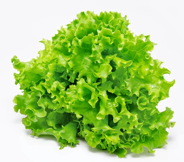 Elszigetelt, friss zöld saláta Stock Kép