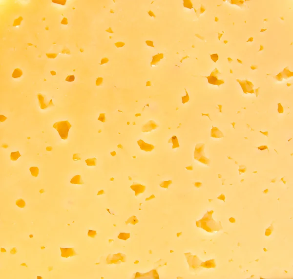 Fondo de queso —  Fotos de Stock