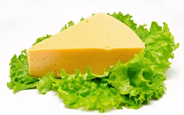 Pedazo de queso sobre lechuga aislado sobre blanco —  Fotos de Stock