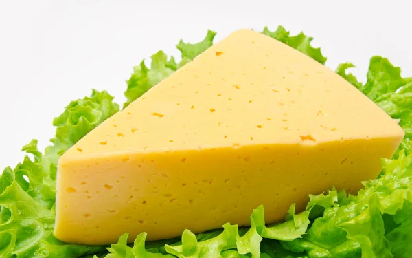 Pedazo de queso sobre lechuga aislado sobre blanco —  Fotos de Stock