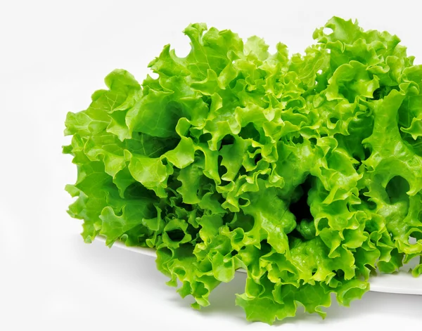 Fresh green lettuce on the plate — Stock Photo, Image