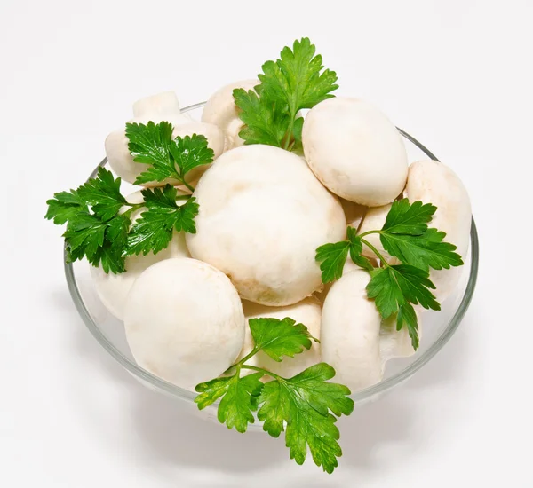 Champignon mushroom white agaricus witn parsley in the bowl — Stock Photo, Image