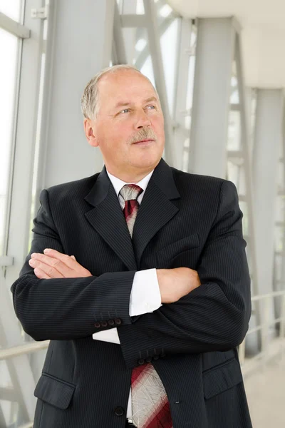 Portrait of a mature handsome businessman — Stock Photo, Image