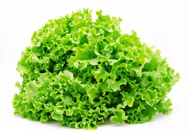 Fresh green lettuce isolated — Stock Photo, Image