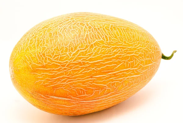 Mogen hela melon isolerade — Stockfoto