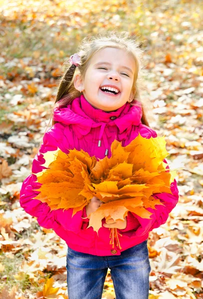 Autumn portrait of cute laughing little girl with maple leaves — Stock Photo, Image