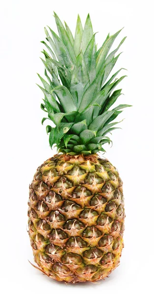 Ananas maturo isolato su un bianco — Foto Stock