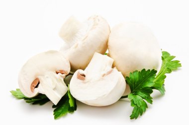 champignon mantar beyaz agaricus witn maydanoz
