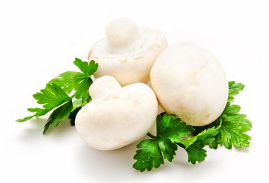 champignon mantar beyaz agaricus witn maydanoz
