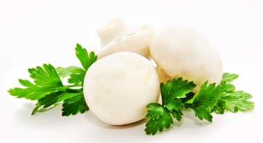 champignon mantar beyaz agaricus witn maydanoz