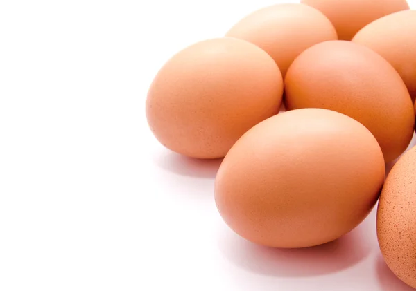 Brown chicken eggs isolated on a white background — Stock Photo, Image