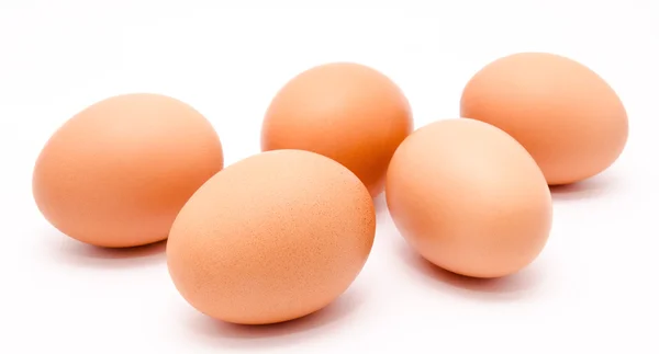 Five brown chicken eggs isolated on a white background — Stock Photo, Image