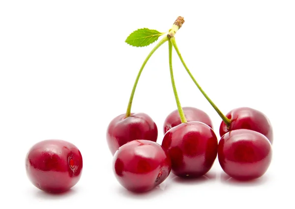 Sappige cherry bij blad geïsoleerd — Stockfoto
