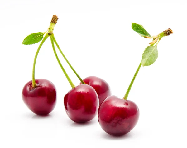 Sappige cherry bij blad geïsoleerd — Stockfoto