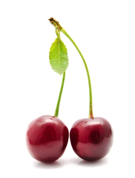 Cereja suculenta com folha isolada — Fotografia de Stock