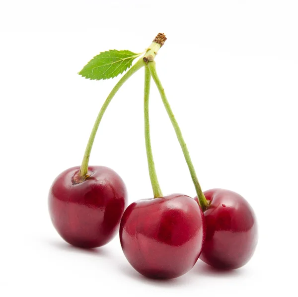 Sappige cherry bij blad geïsoleerd — Stockfoto