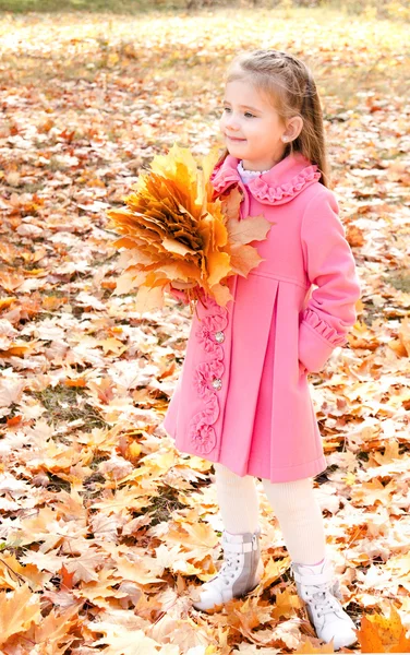 Retrato de otoño de linda niña sonriente con hojas de arce — Foto de Stock