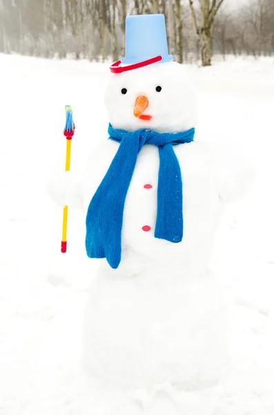 Boneco de neve em pé na paisagem de inverno — Fotografia de Stock