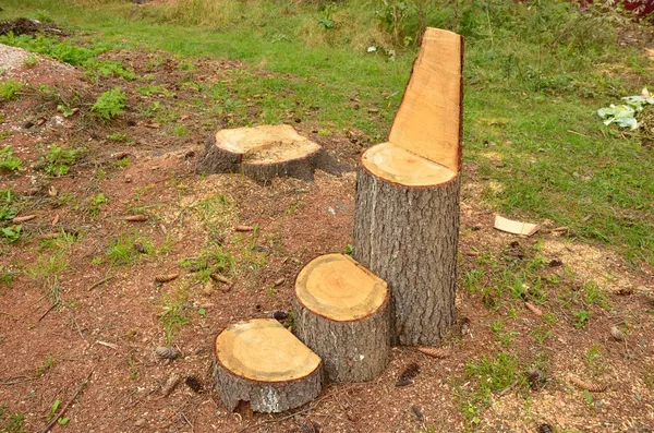 Exploitation forestière improvisée de meubles . — Photo