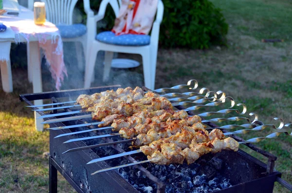 Barbecue in the country. — Stock Photo, Image